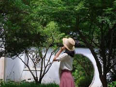-上海醉白池公园