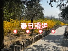 -白水寺森林公园