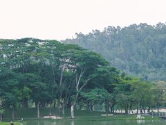 -顺峰山公园