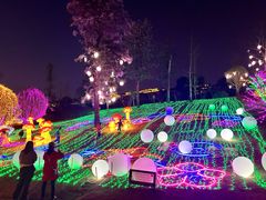 -枫香湖儿童公园