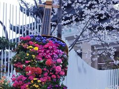 -苏州上方山国家森林公园