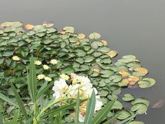 -江南大学(蠡湖校区)