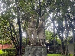 -瑞丽独树成林风景区