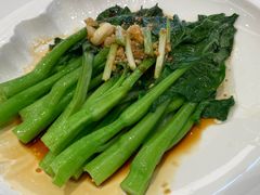 -粤珍轩·家宴·广式茶点(新城广场店)