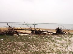 -北海金海湾红树林生态旅游区