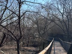 -白水寺森林公园