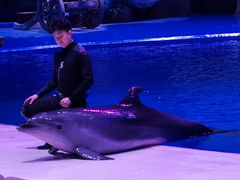 -华夏文旅海洋公园