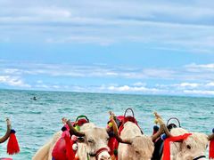 -青海湖国家重点风景名胜区