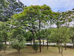 -中国移动南方基地