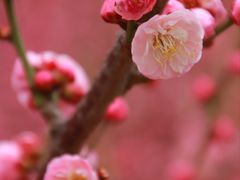 -东林广场(地铁站)