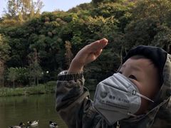 -云溪植物园