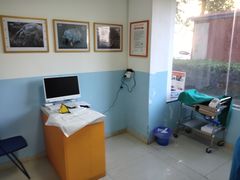 -瑞派福兴宠物医院犬猫全科·骨科·中西医结合(河东店)