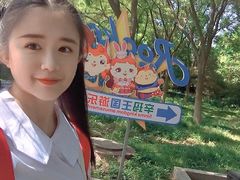 -辛玛王国游乐园