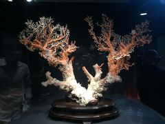 -台北故宫博物院