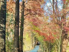 -东湖落雁景区