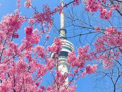-龟山风景区-龟山电视塔