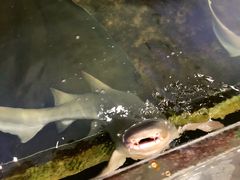 -鸿通城购物中心