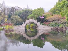 -南园(太仓市)
