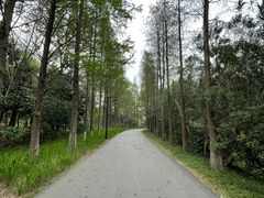 -狼山风景名胜区