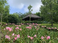 -月亮湾湿地公园