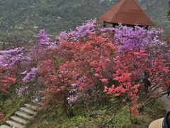 -岳西天峡风景区