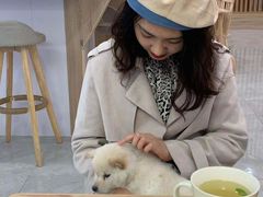 -柴犬小屋·柴餐厅·狗咖食堂(金鼎广场店)