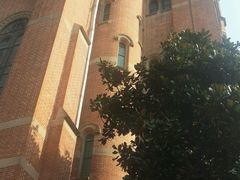 -上海佘山国家森林公园西佘山园