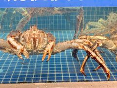 -三个渔夫·蒸汽海鲜(万德大厦店)