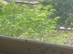 -蚝乡农庄(铁涌赤岸店)