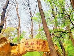 -大青沟风景区