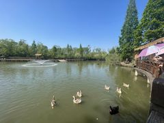 -溱湖国家湿地公园