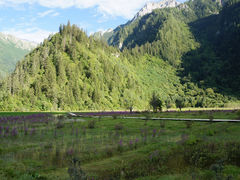 甘海子-九寨沟爱情海景区