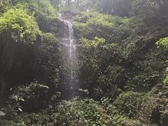 -莫里热带雨林景区