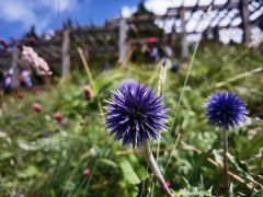 -白草畔自然风景区