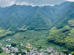 -杨家堂村