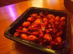 -猫员外精酿啤酒馆(壹海城店)