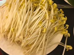 -川道拐耗儿鱼(旗舰店)