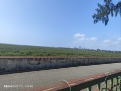 -北海金海湾红树林生态旅游区