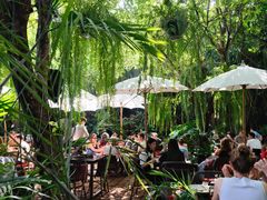 -Fern Forest Cafe