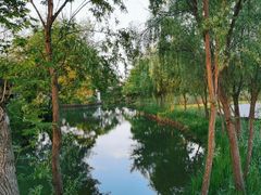 -西溪国家湿地公园