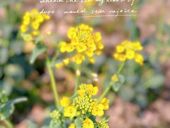 -祝甸砖窑文化馆