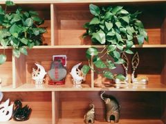 -苗小坛酸汤鱼(酒仙桥店)