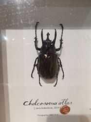 -酷嗒动物文化乐园(cutezoo西溪乐天城店)