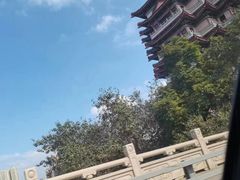 -合江楼