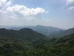 -大岭沟猕猴桃谷风景区