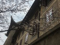 -武汉大学-樱园