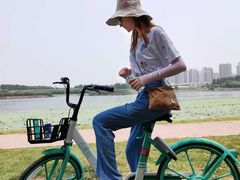 -丁香湖公园
