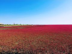 -盘锦红海温泉乐园