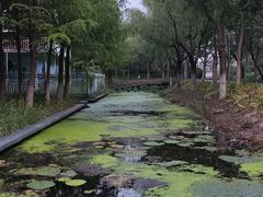 -泰州凤城河风景区-泰山公园