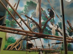 -石家庄市动物园